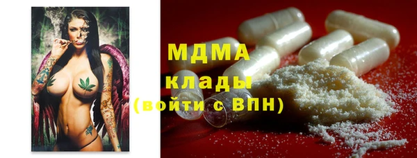 мдпв Богданович