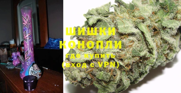 СК Богородицк