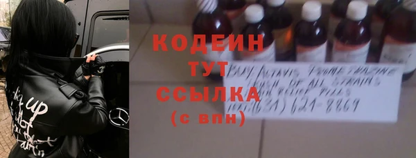хмурый Белокуриха