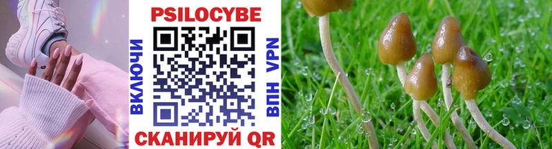 мега зеркало  как найти   Верхняя Тура  Галлюциногенные грибы ЛСД 